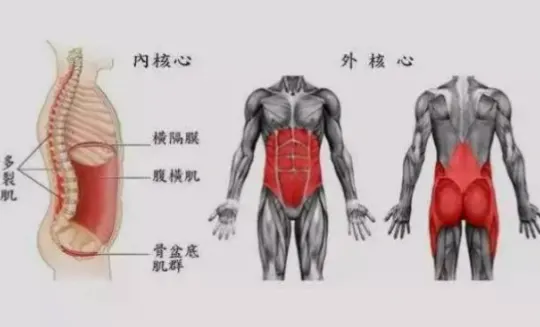 收紧腹臀控背肌，水中阻力为何降低？
