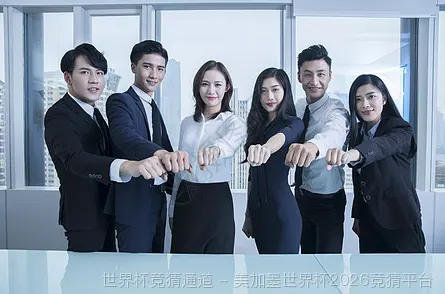 核心团队与专业资质